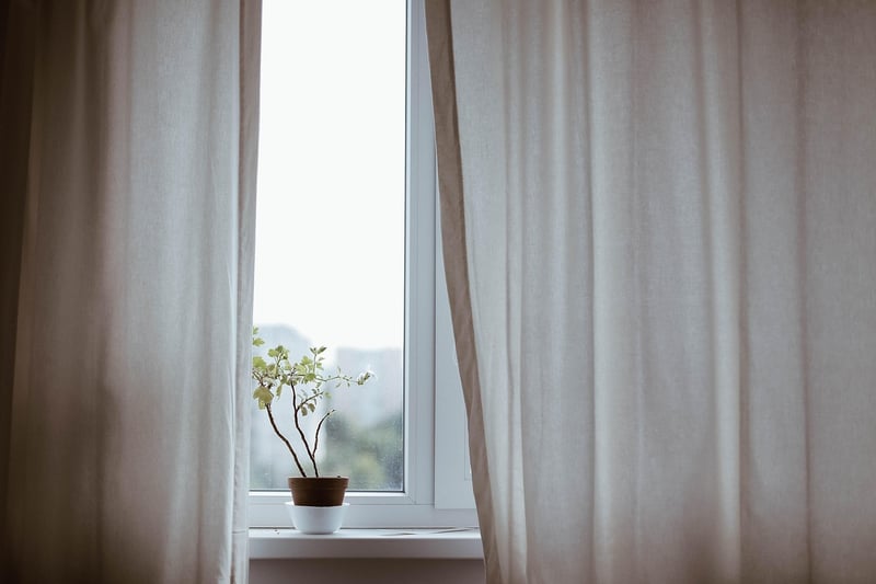 Indoor plant ideas