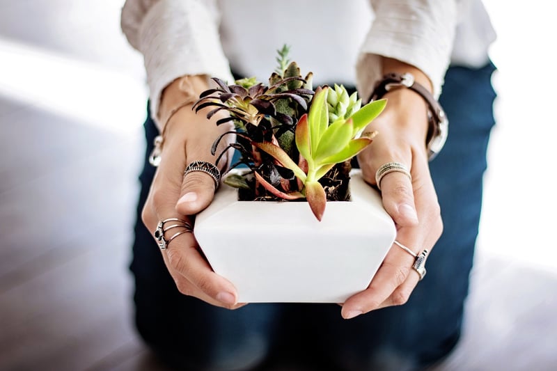 Herb Garden